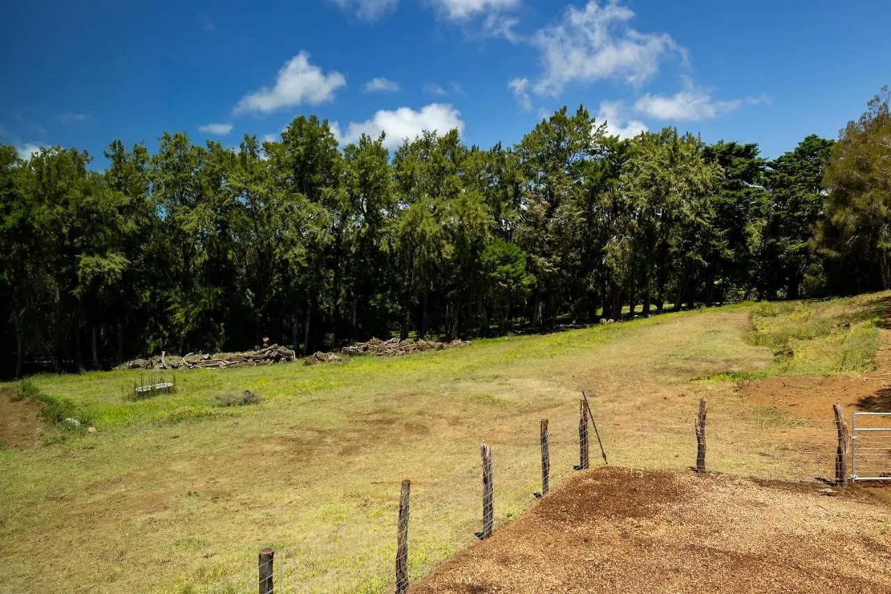 A Cozy Cabin In The Country Hawi